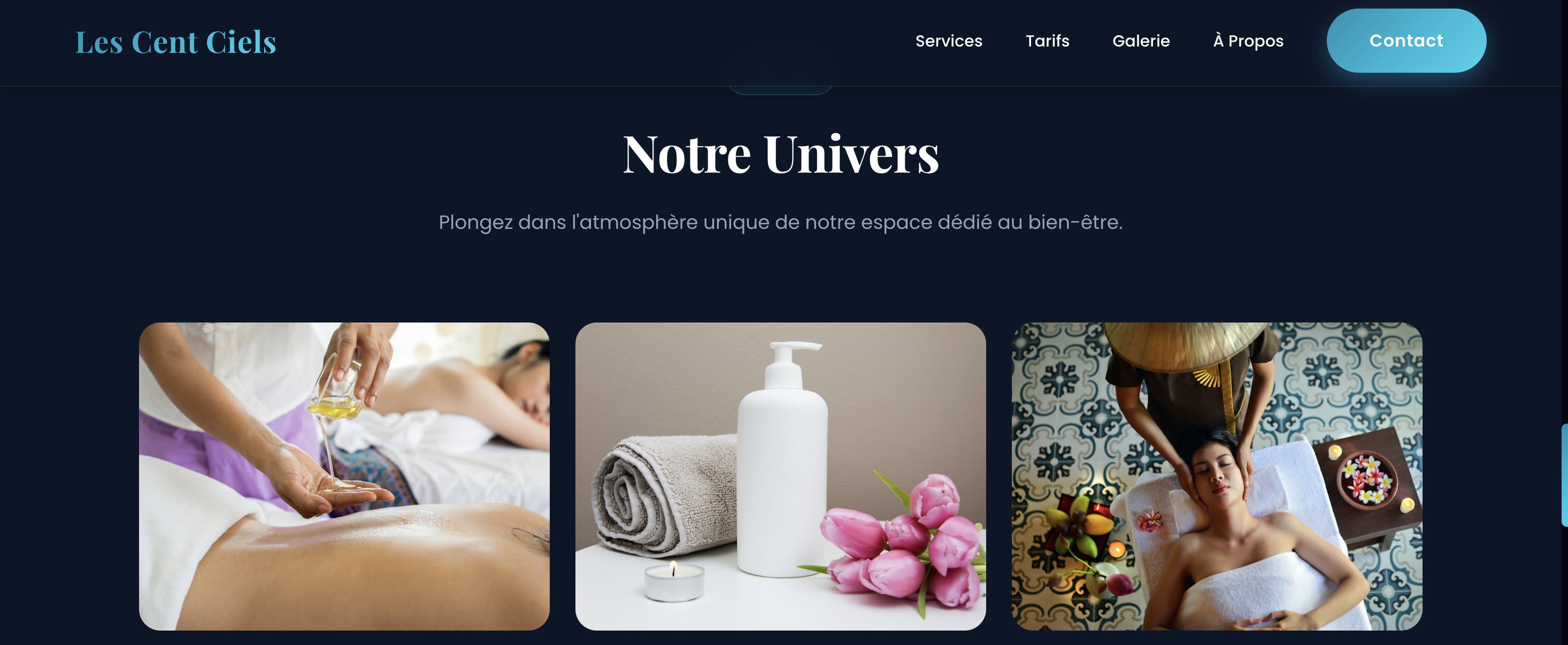 Site web South Chicken — Restaurant